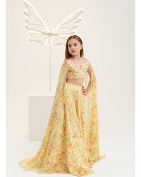 PETAL WINGS (B)