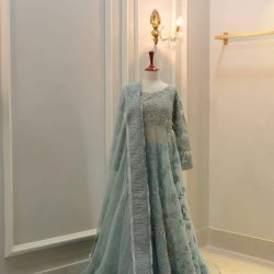 Bamber Organza Maxi